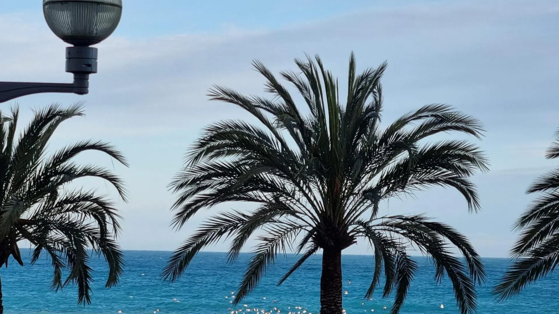 Appartamento Sunny Days Nizza